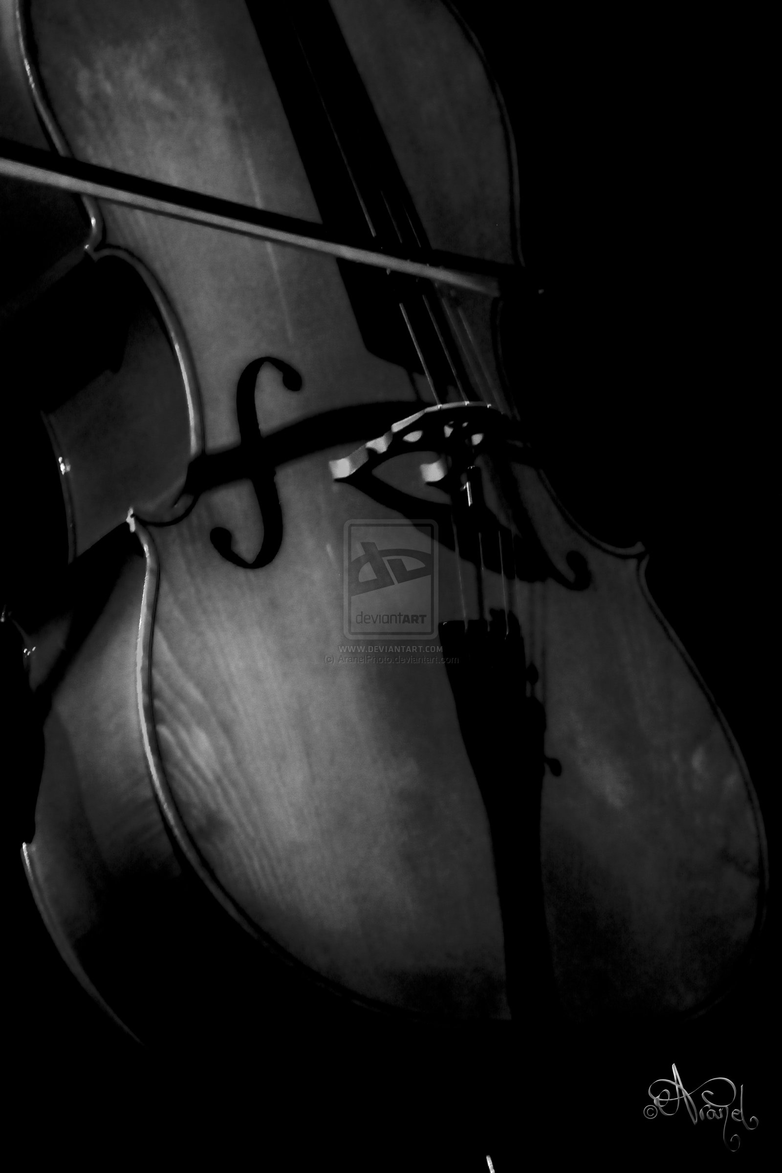 Black Cello Wallpaper By Aranelphoto