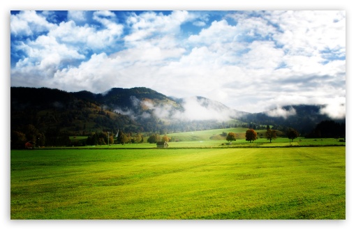 Beautiful Green Meadow HD Wallpaper For Standard Fullscreen