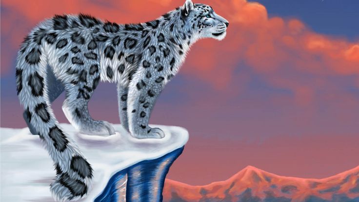 Wallpaperus Wallpaper Snow Leopard Drawing Jpg