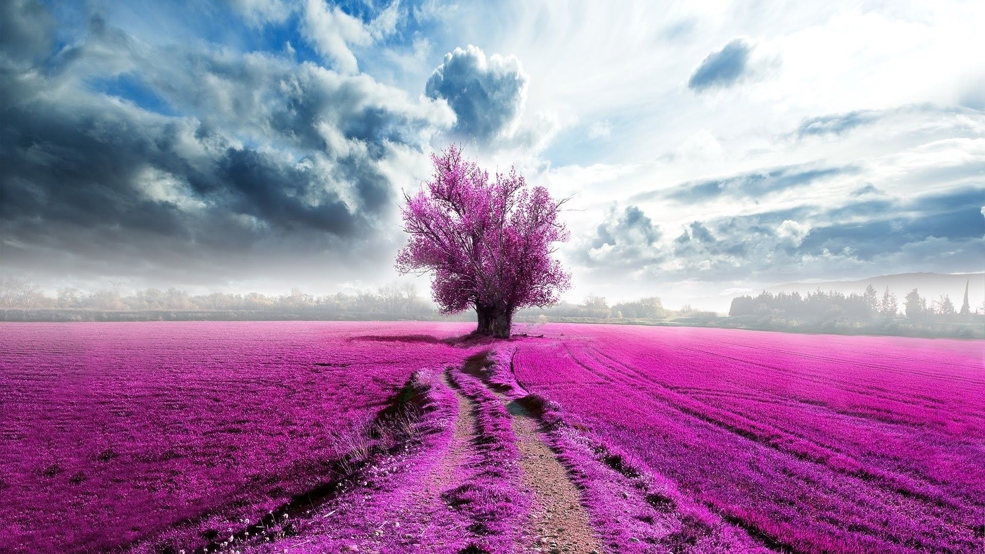 Purple Tree Wallpaper