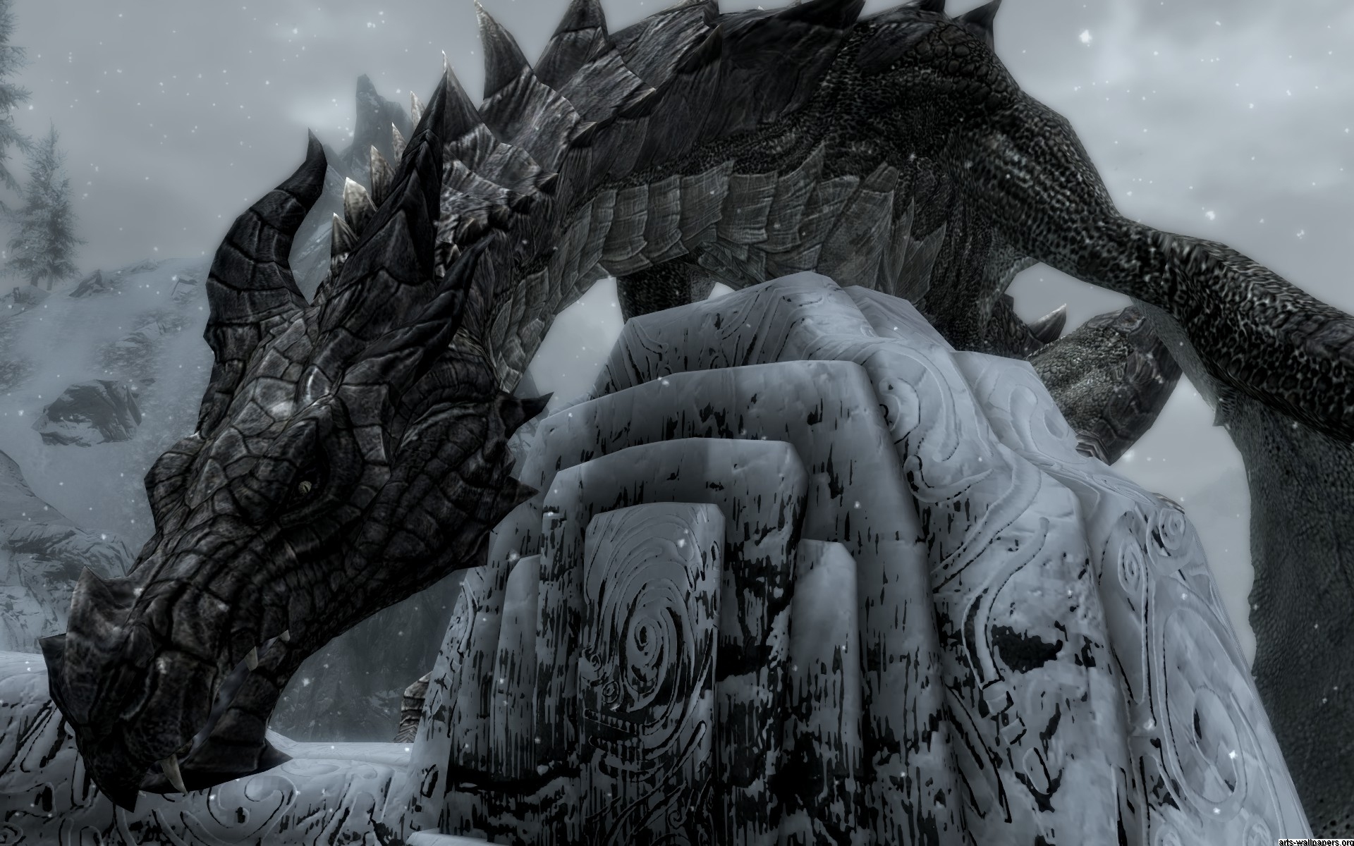 Skyrim Dragon Wallpaper Background