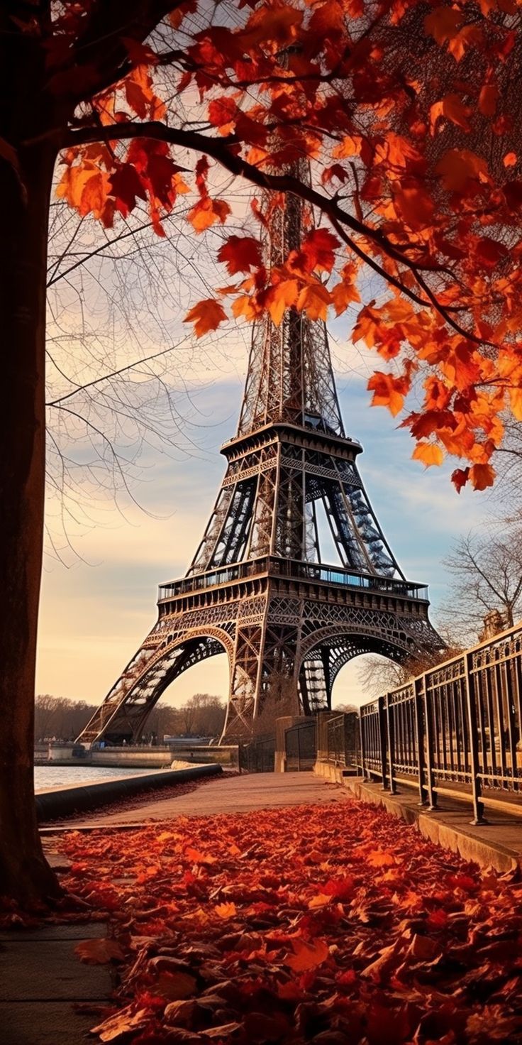Gorgeous Fall Phone Wallpaper Artofit