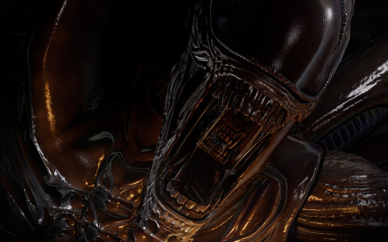 Aliens Vs Predator Wallpaper