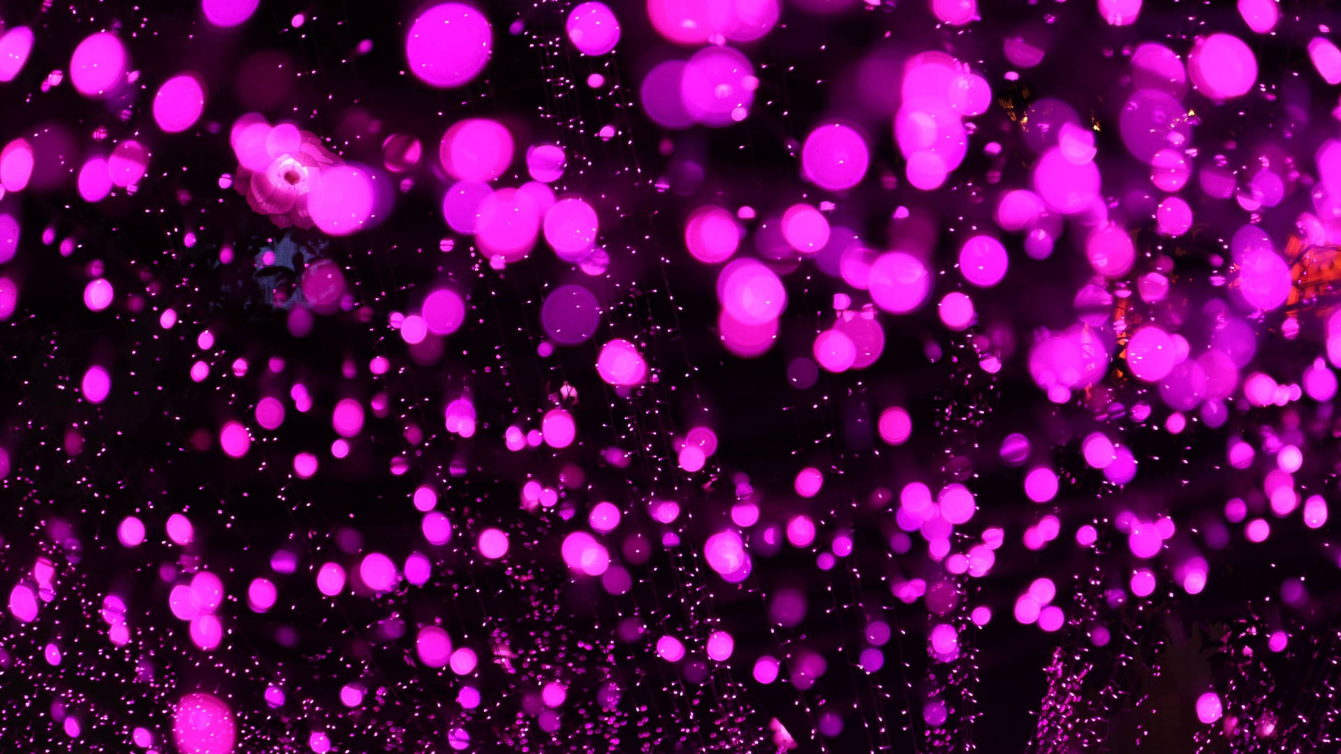 Violet Aesthetic Wallpaper
