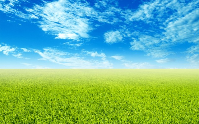 Sky and Grass Wallpaper Wide Screen Wallpaper 1080p2K4K