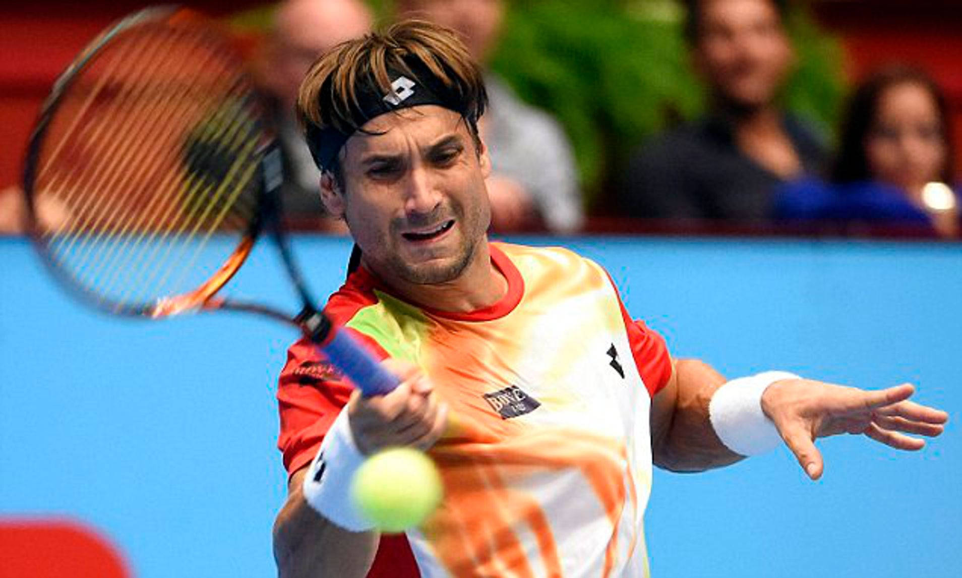 David Ferrer Wallpaper