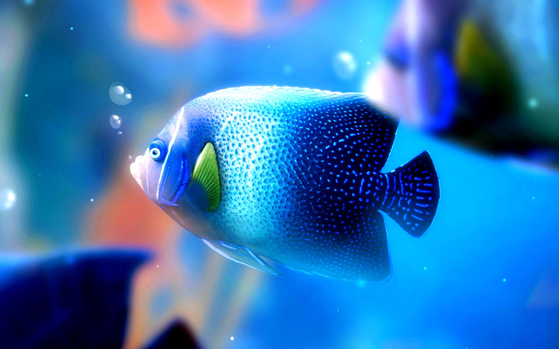 Fish Under Water Desktop Wallpaper Daily Pics Update HD