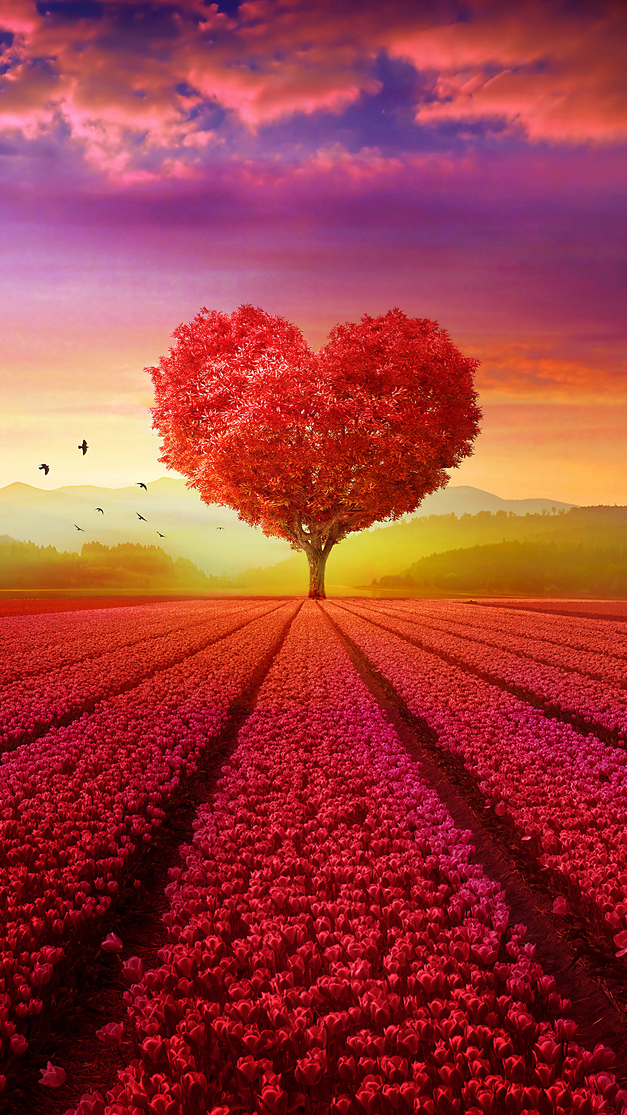 Beautiful Heart Tree Landscape Scenery 4k Wallpaper