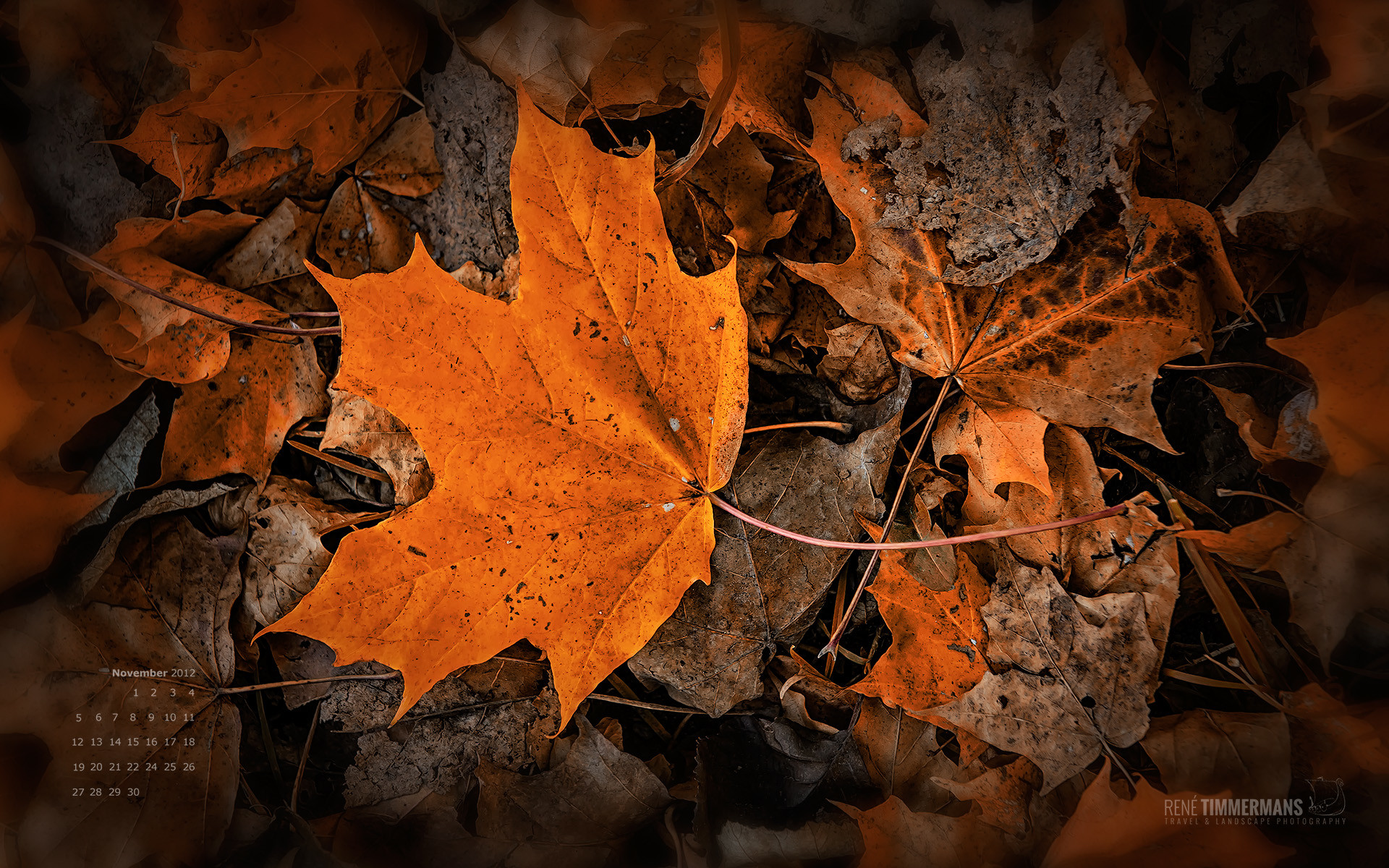 Hugedomains Cute Desktop Wallpaper November Wallp