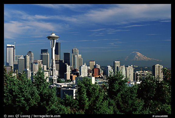 Seattle Skyline With The Needle And Mt Rainier Afternoon