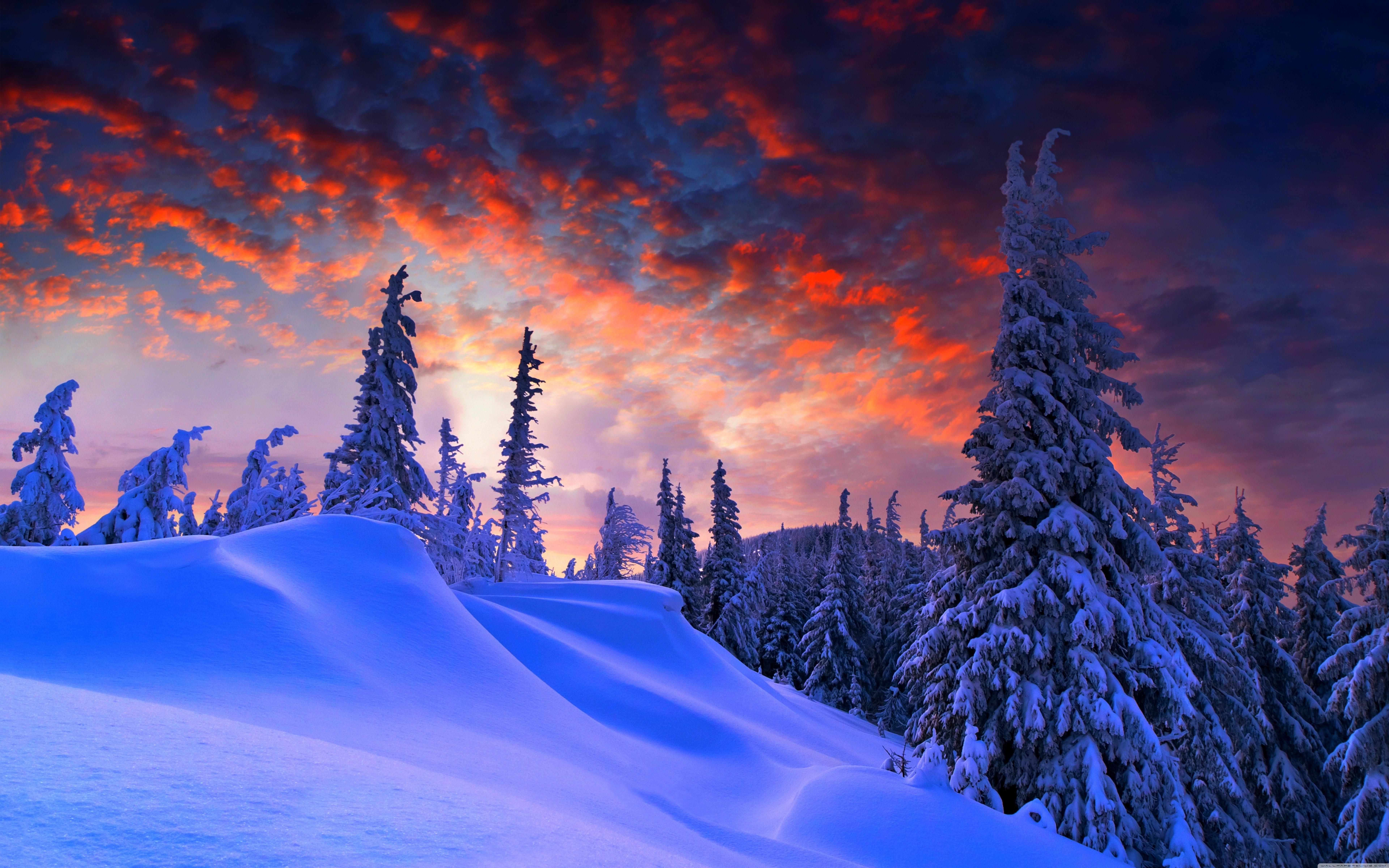 Nature Winter 8k Ultra HD Wallpaper