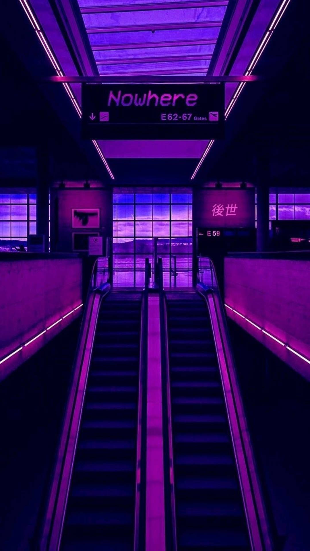 Neon Purple 4k Wallpaper
