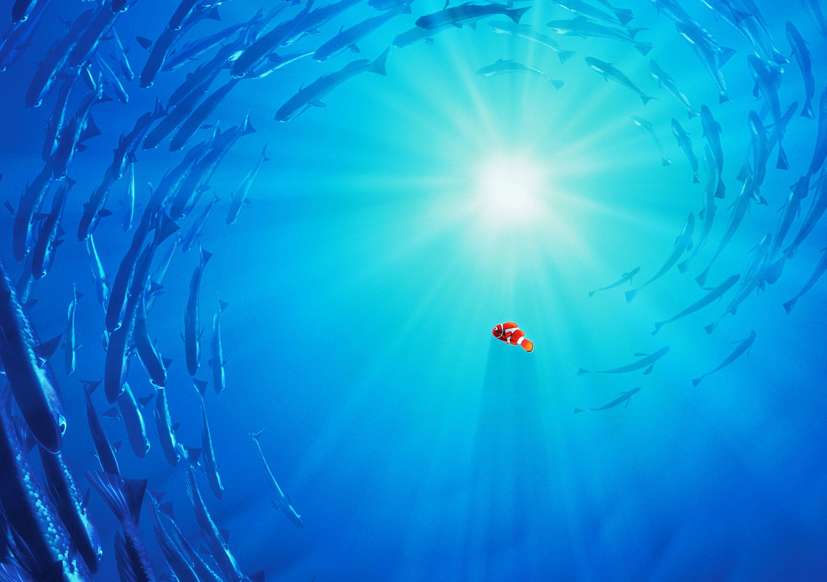 Finding Nemo Wallpaper HD