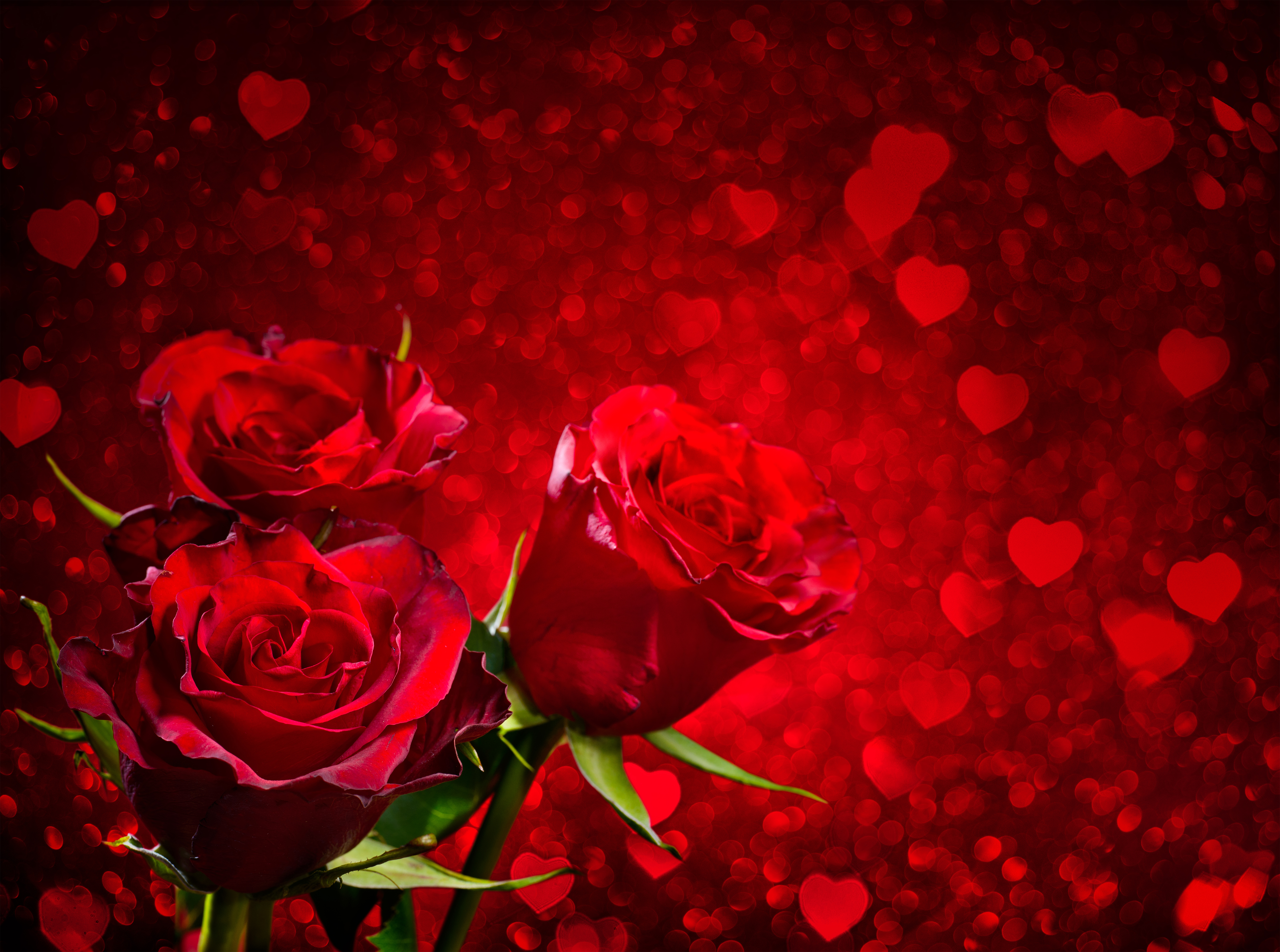 Hearts And Roses Background Galleryhip The