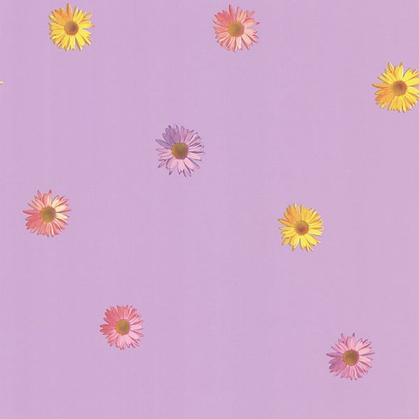 NG63841 Pink Gerber Daisies   Daisy   Brewster Wallpaper 600x600