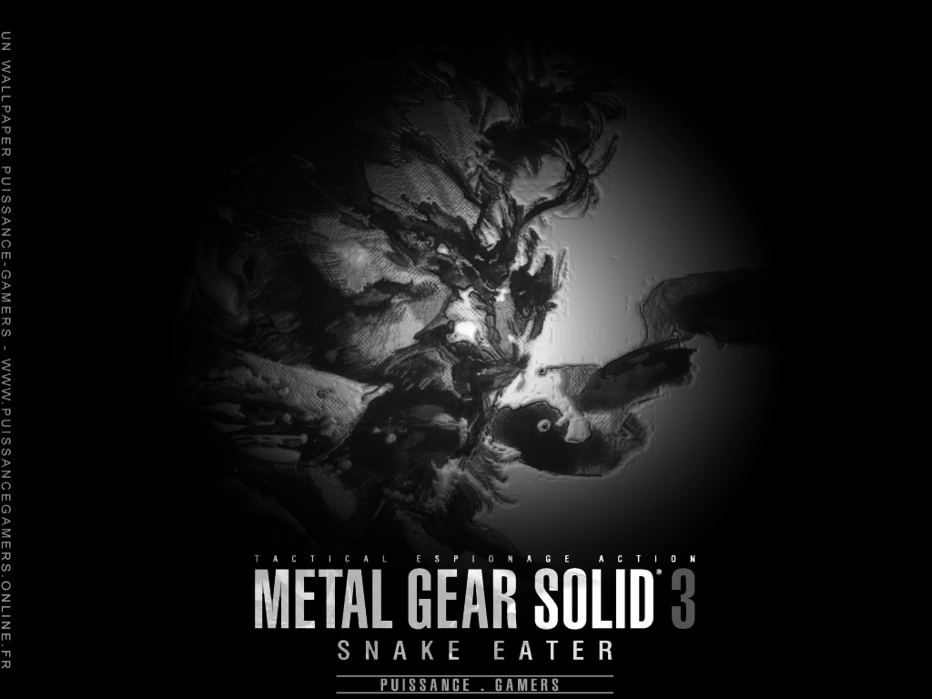 Gamers Mgs3 Wallpaper Et Fonds D Cran De Metal Gear Solid