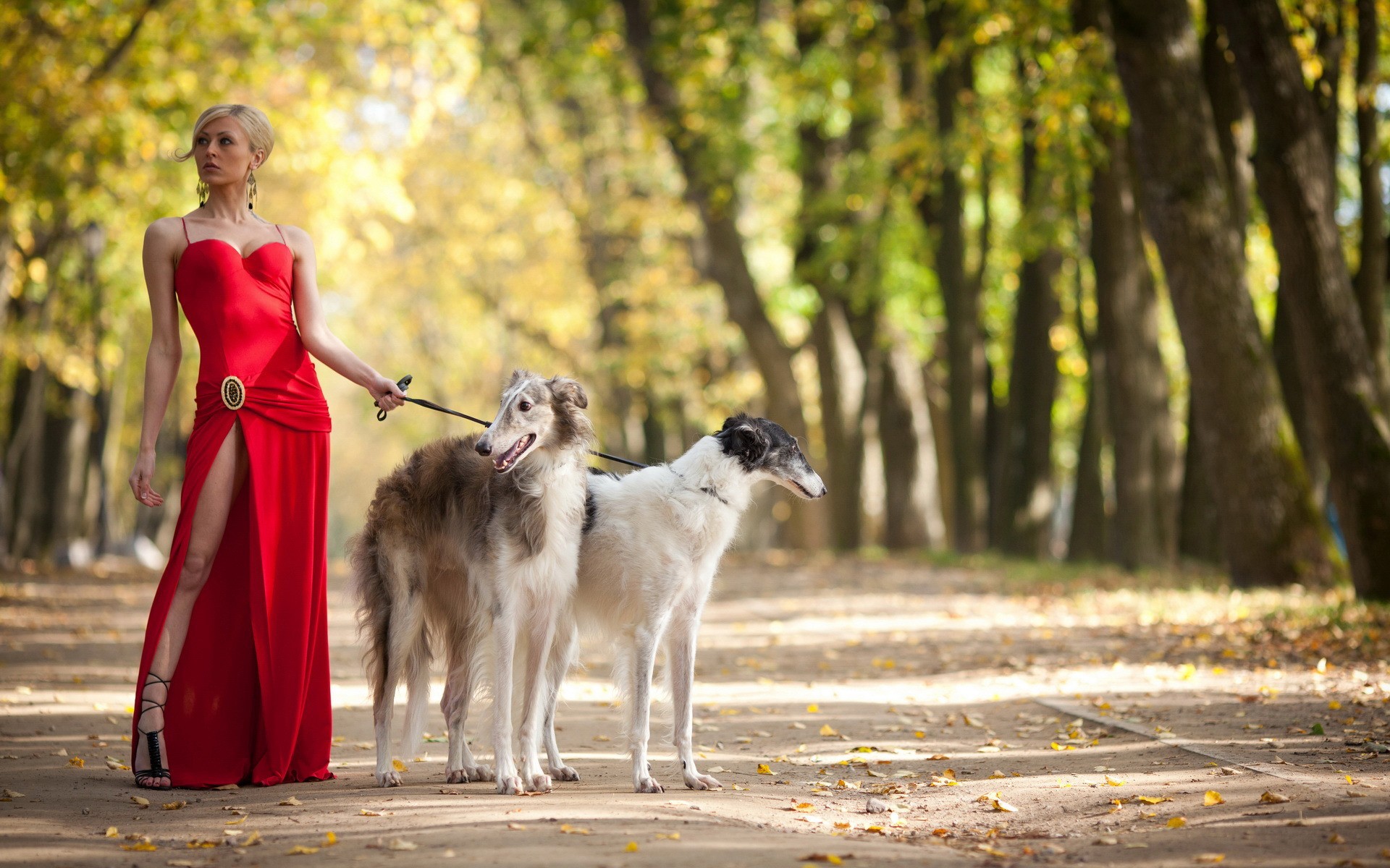 Legs Women Dress Dogs High Heels Red Borzoi Wallpaper