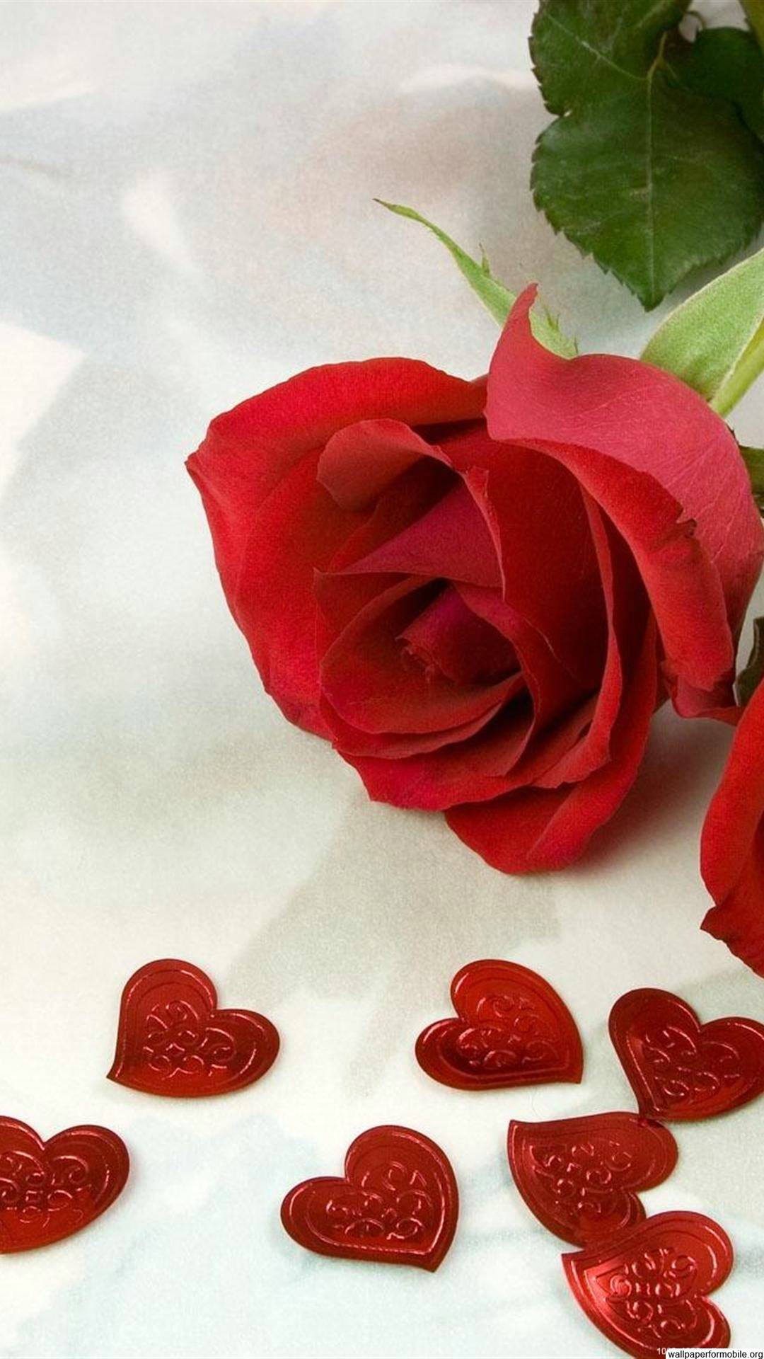 Rose Wallpaper HD Cute Trend Terbaru