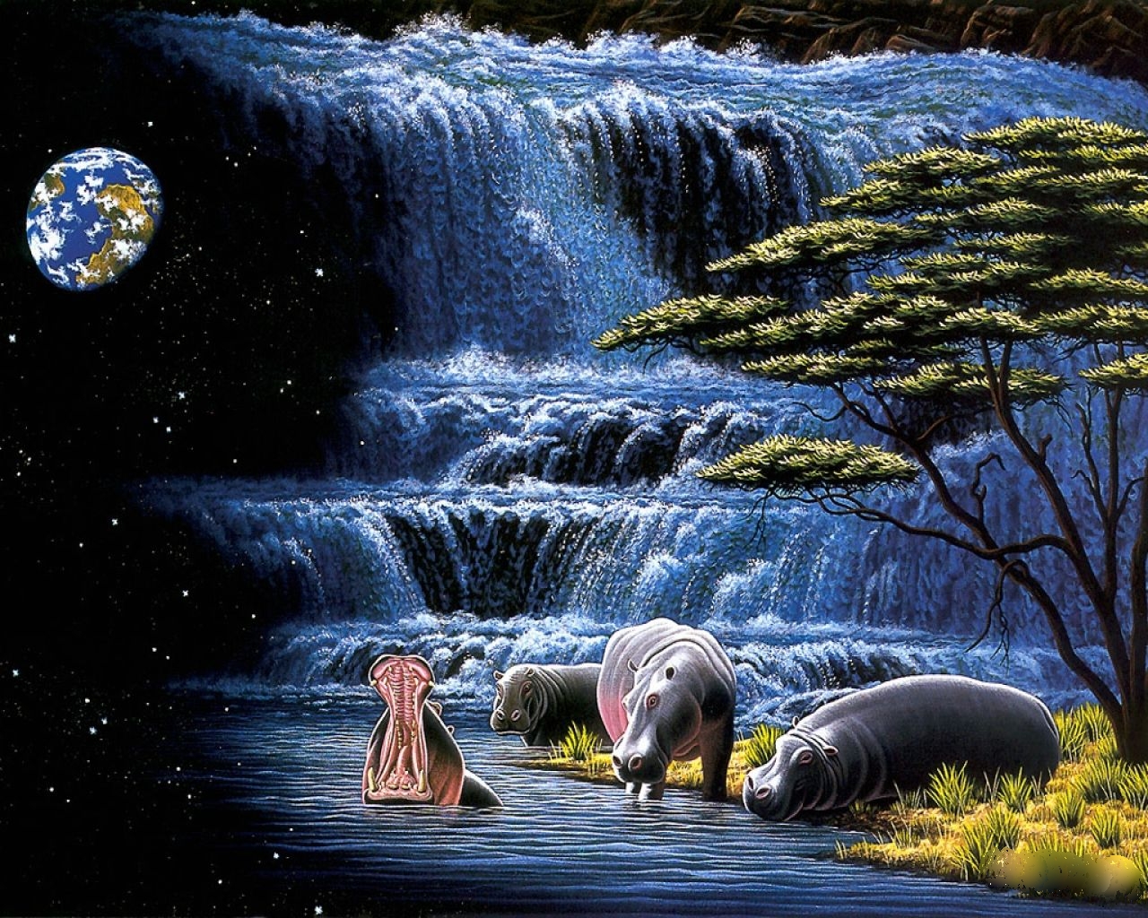 Hippo Land Wallpaper HD