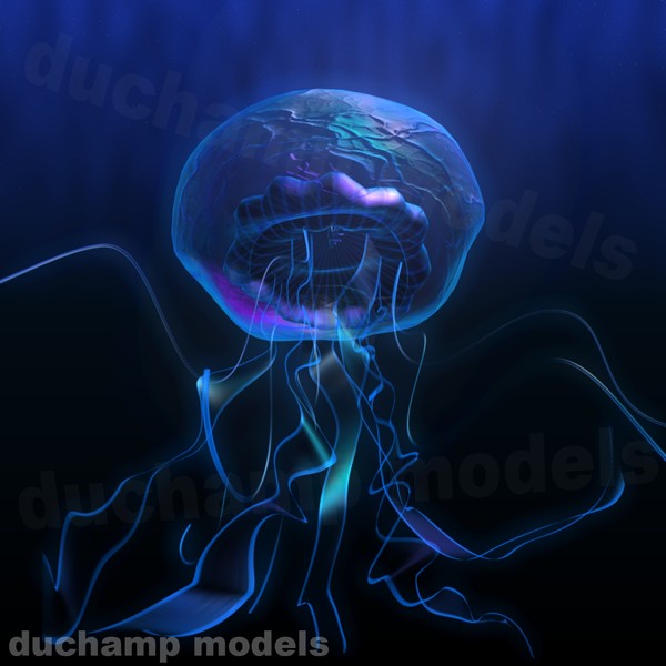 Animated Jellyfish Animations