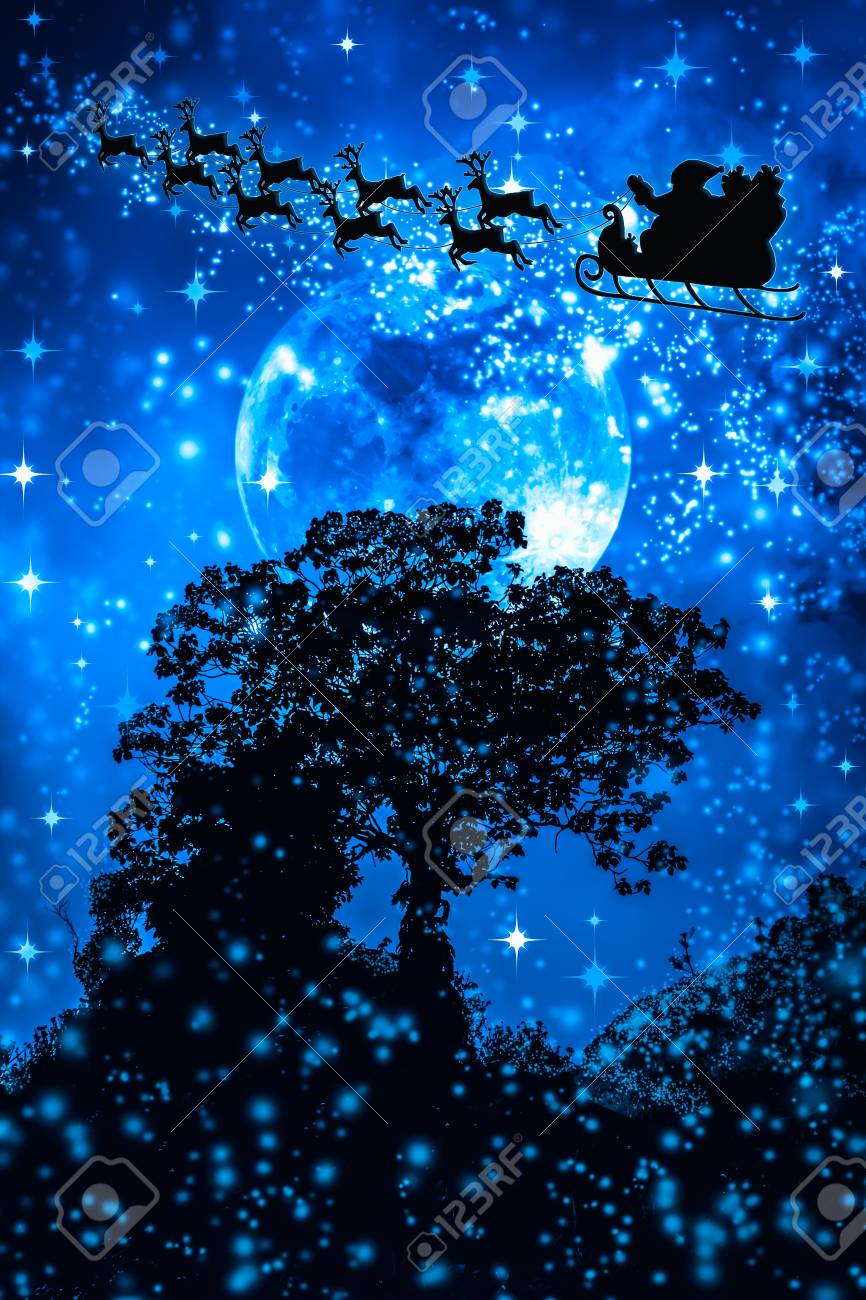 Christmas Blue Background Beautiful Winter Background Of Snowy 866x1300