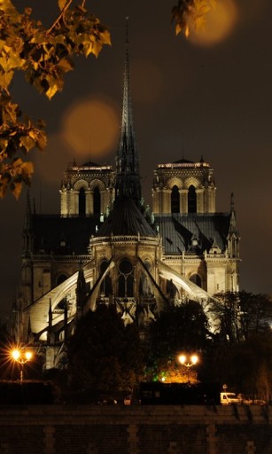Bigger Notre Dame Live Wallpaper For Android Screenshot