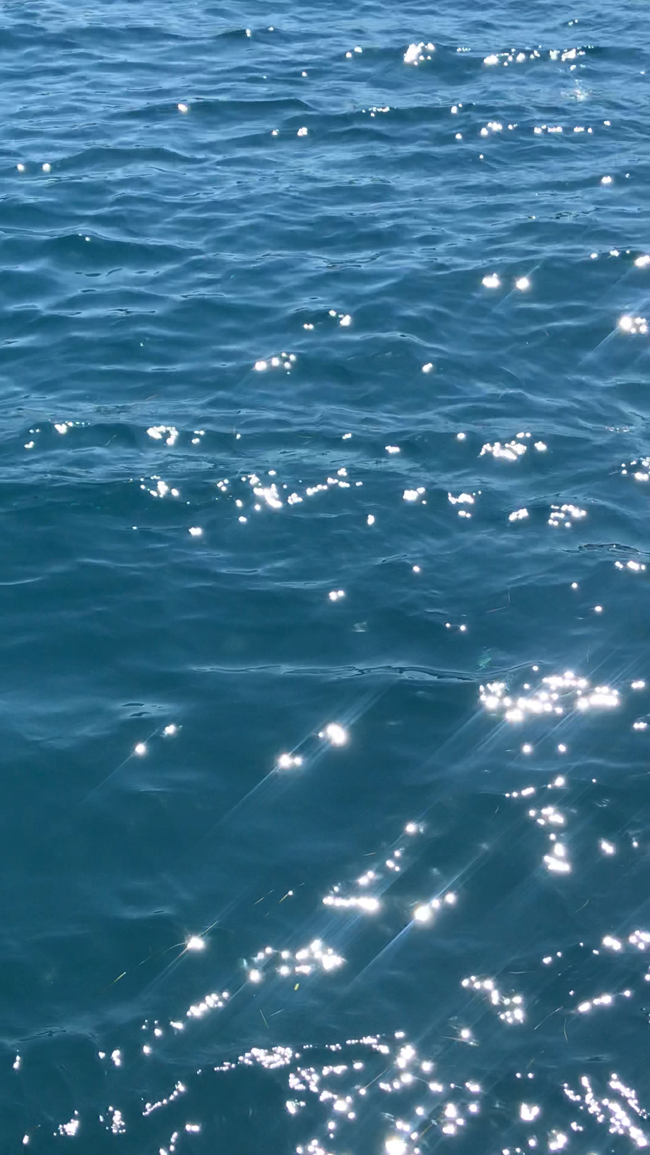 Aesthetic Nature Videos Calm In Wallpaper