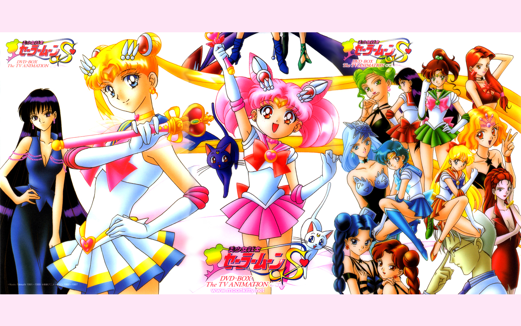 Moonkitty Sailor Moon Wallpaper Widescreen
