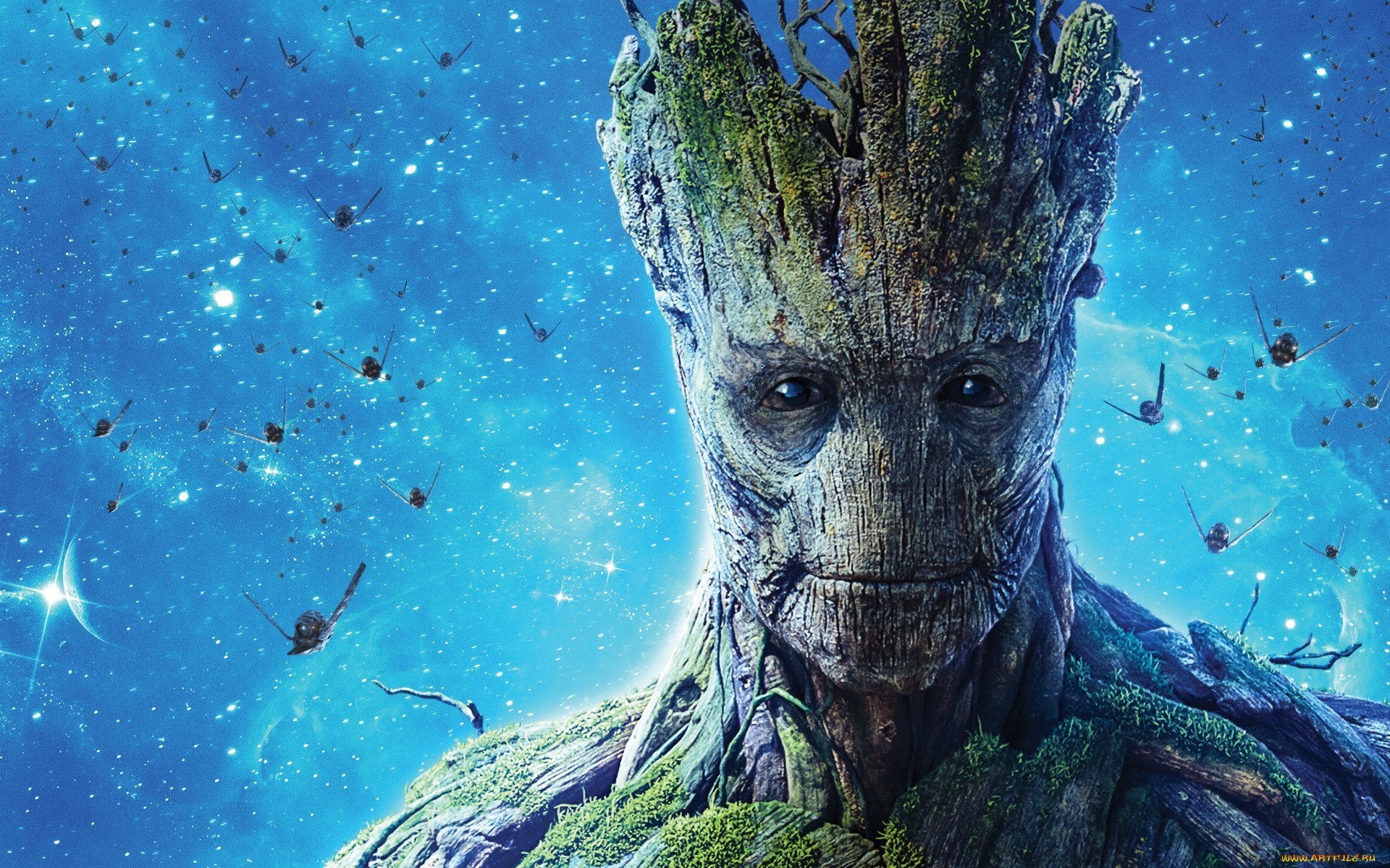 Groot Wallpaper Image Photos Pictures Background