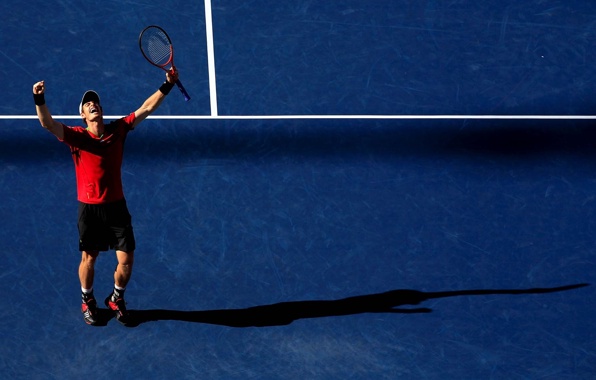 Wallpaper Tennis Courts Sports