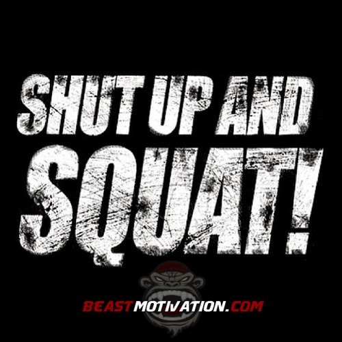 Beast Motivation Shut Up And Squat
