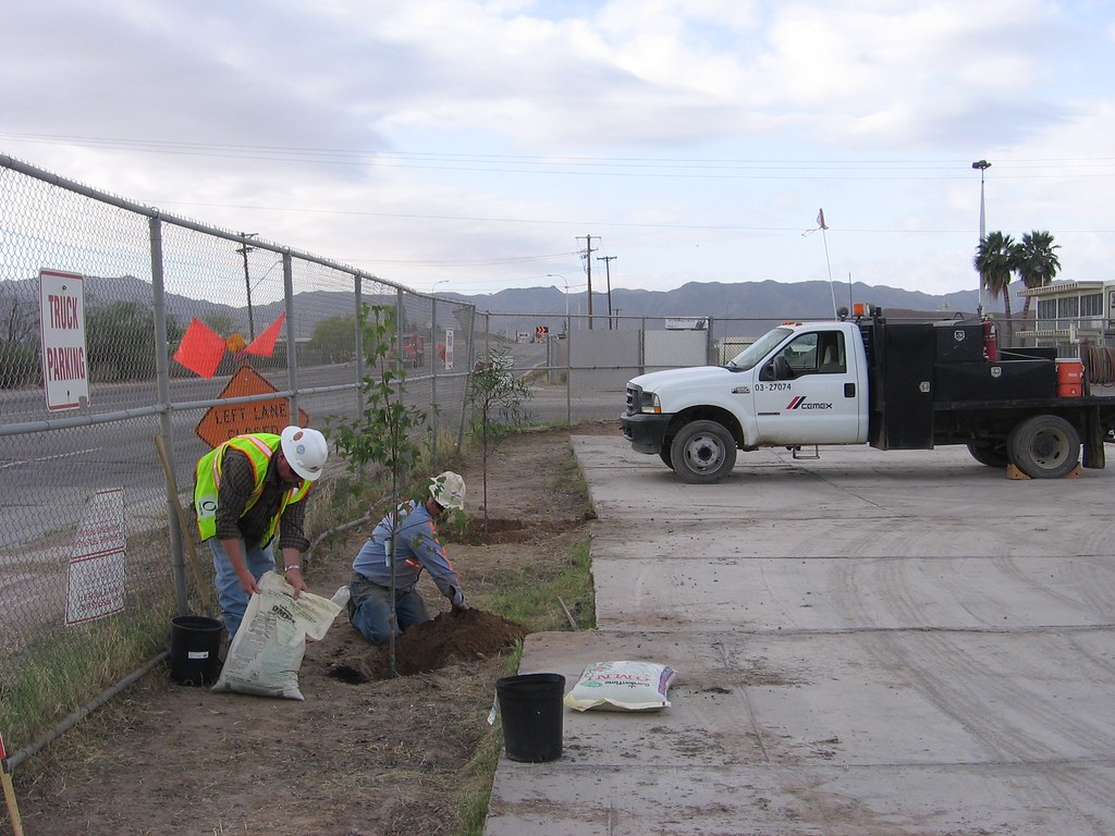 Cemex Usa 19th Ave Earth Day Tree Planting Many Employ