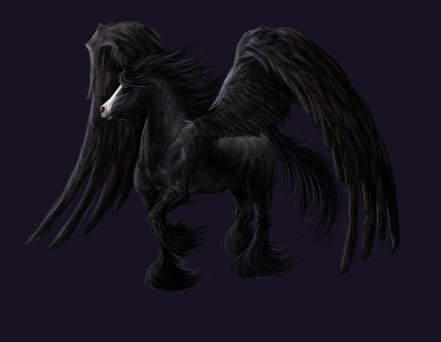 Black Pegasus By Elsouille