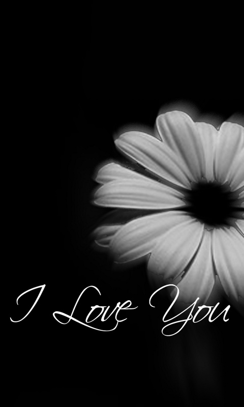 Love And Hate Note Blackberry Wallpaper Cell Phone HD