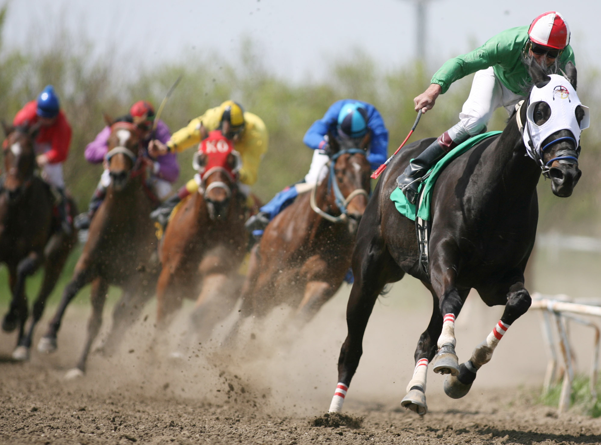 Horse Race Wallpaper And Image Pictures Photos