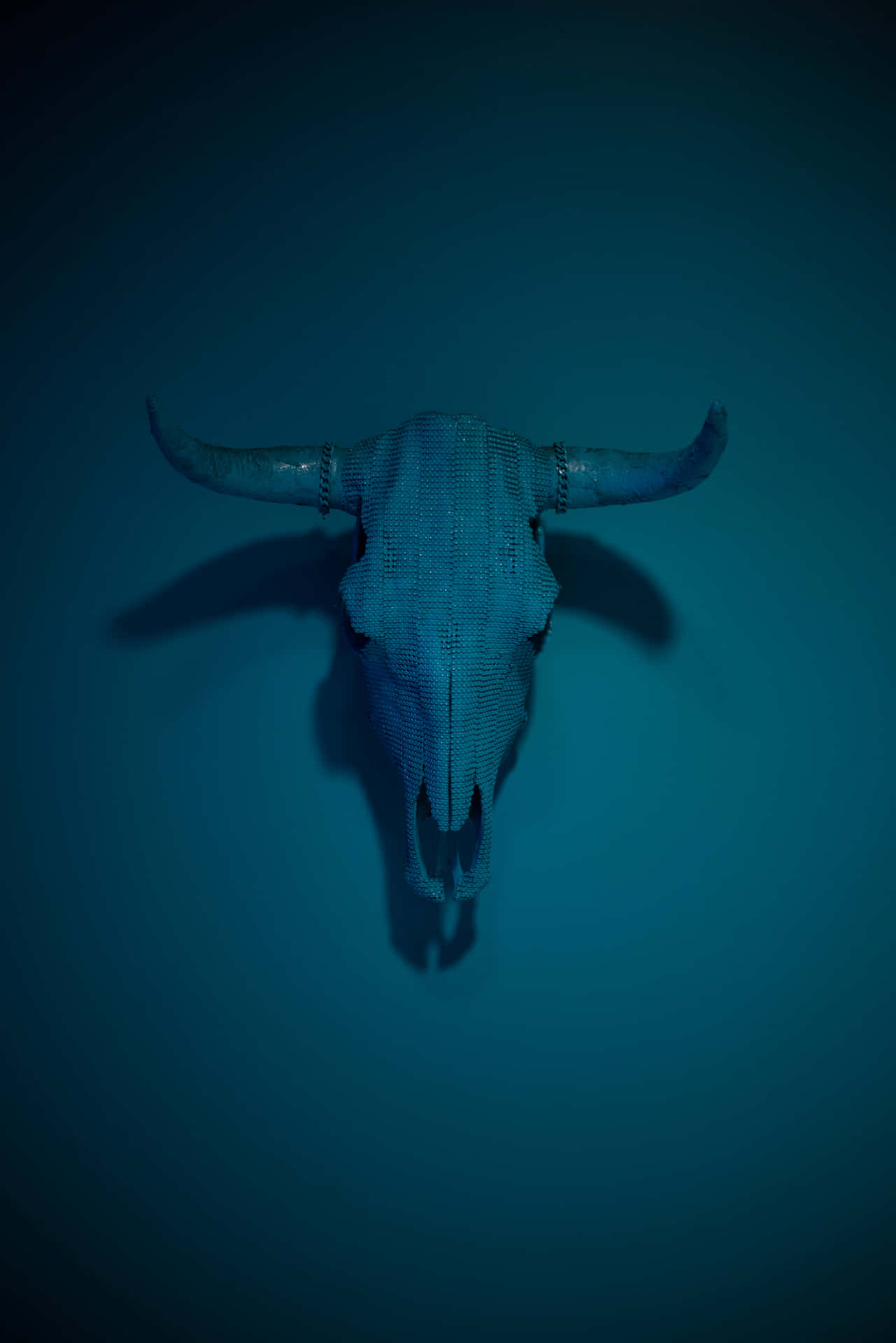 A Bull Skull Against Blue Sky Wallpaper