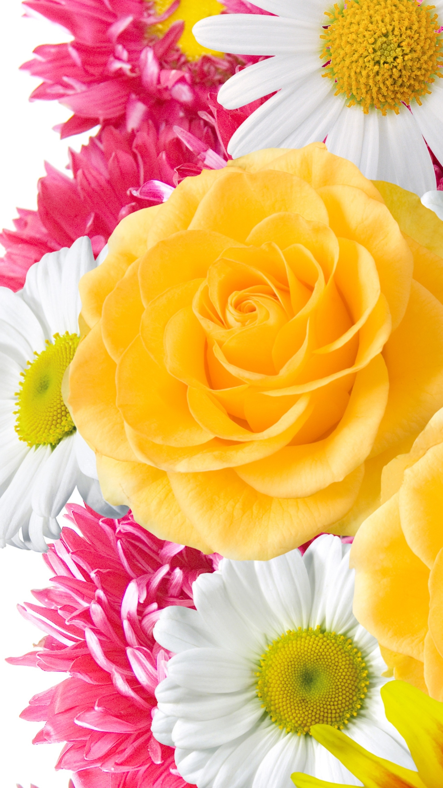 Mobile Wallpaper Flowers