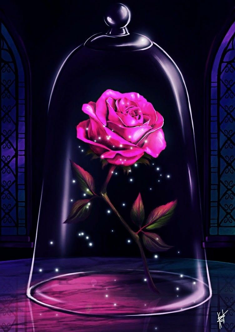 Beauty and the Beast Rose Wallpapers on WallpaperDog