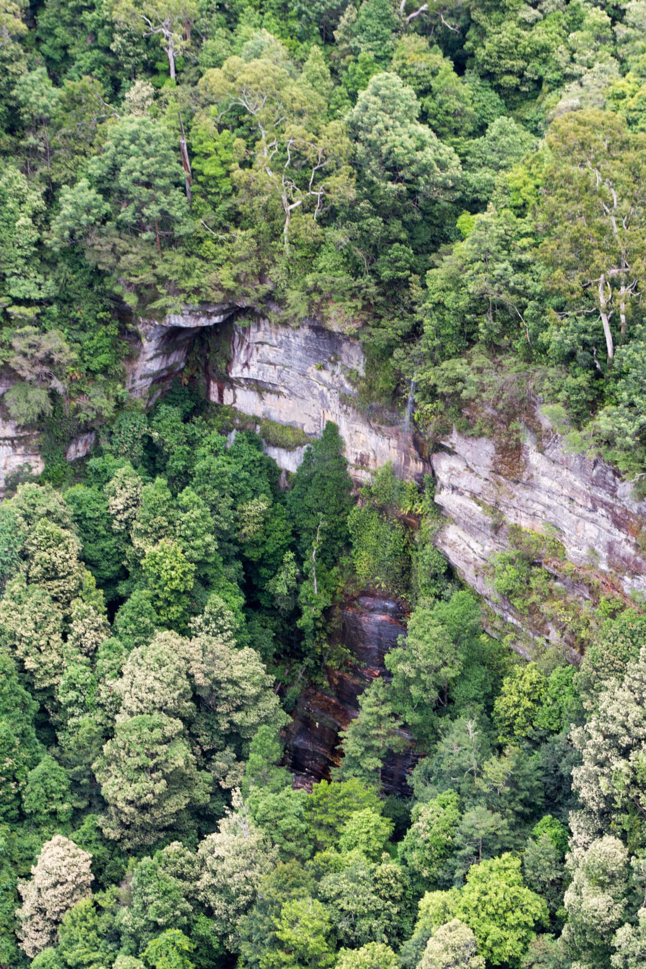 Blue Mountains National Park Wallpaper