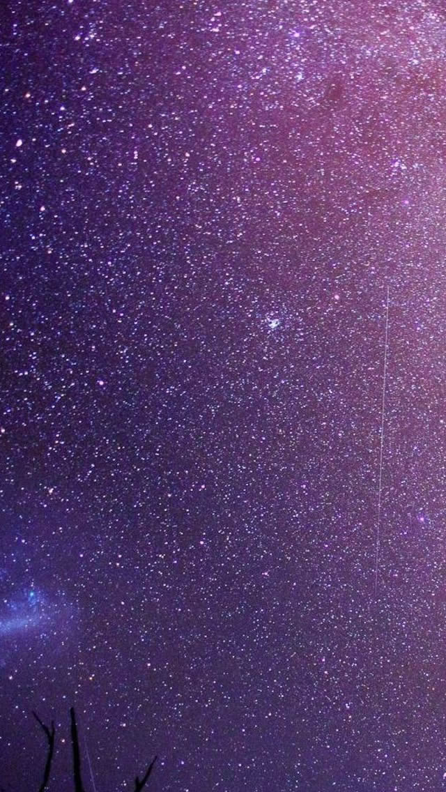 Milky Way Above The Trees iPhone 5s Wallpaper Download iPhone