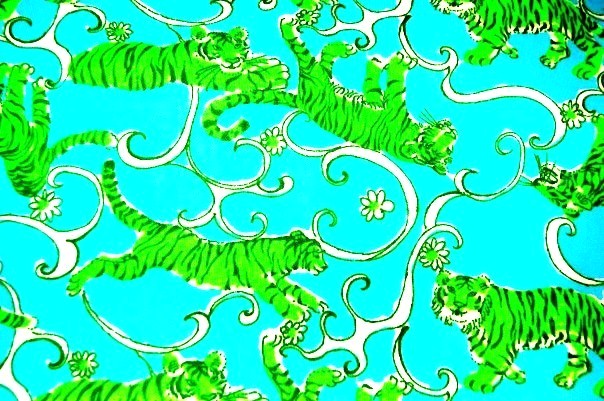 Lilly Pulitzer Desktop Patterns Pictures
