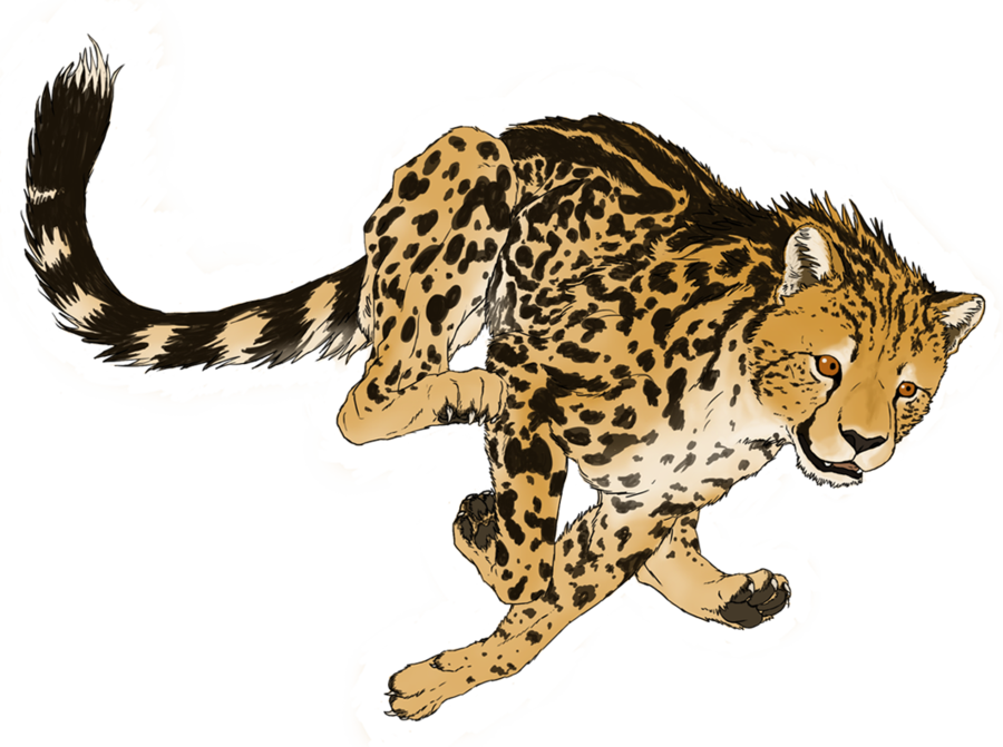 King Cheetahs Wallpaper Cheetah In Flight By