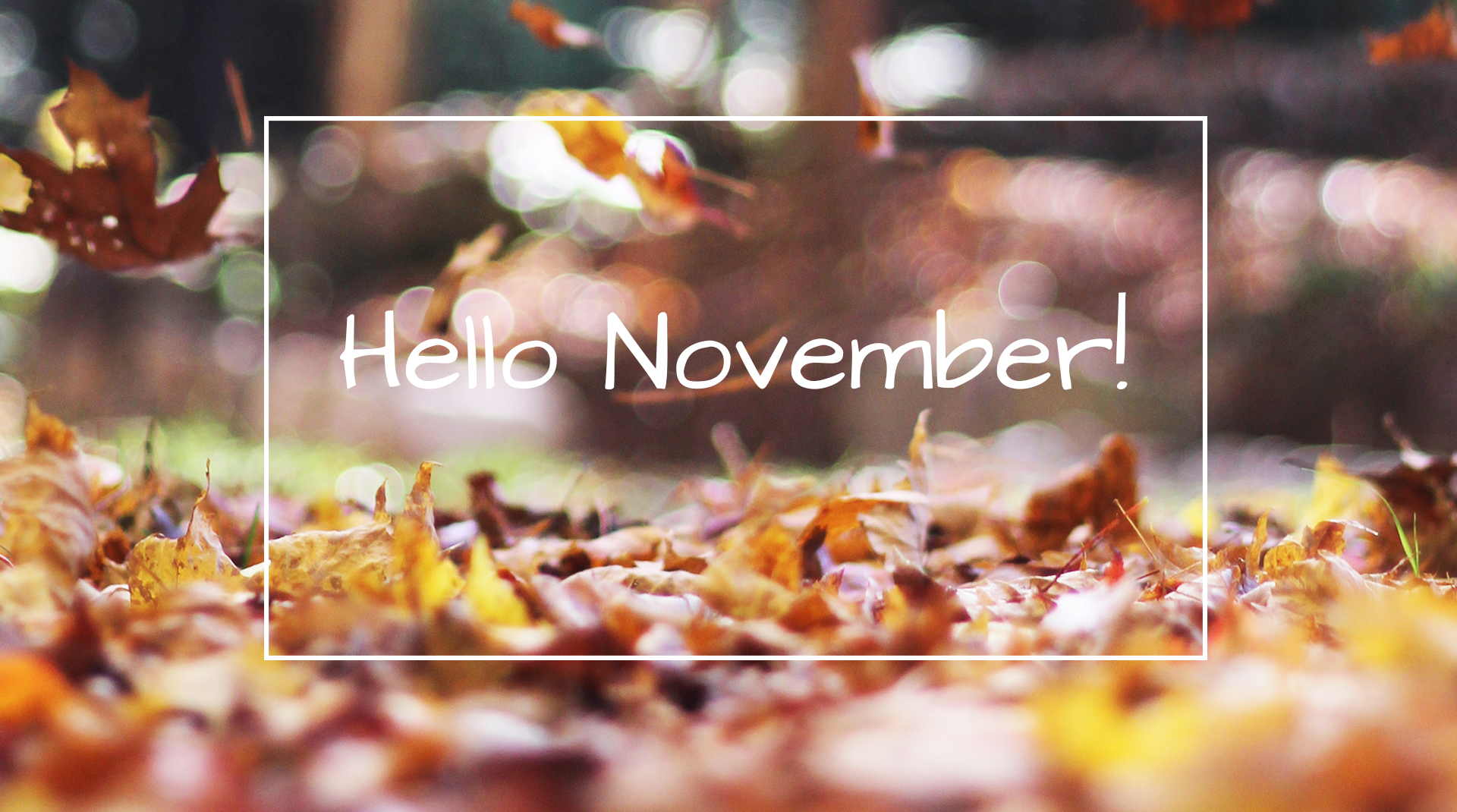 Hello November HD Wallpaper