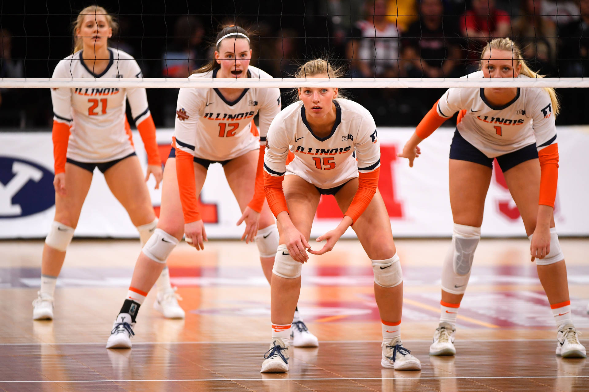 Volleyball Ball Wallpaper