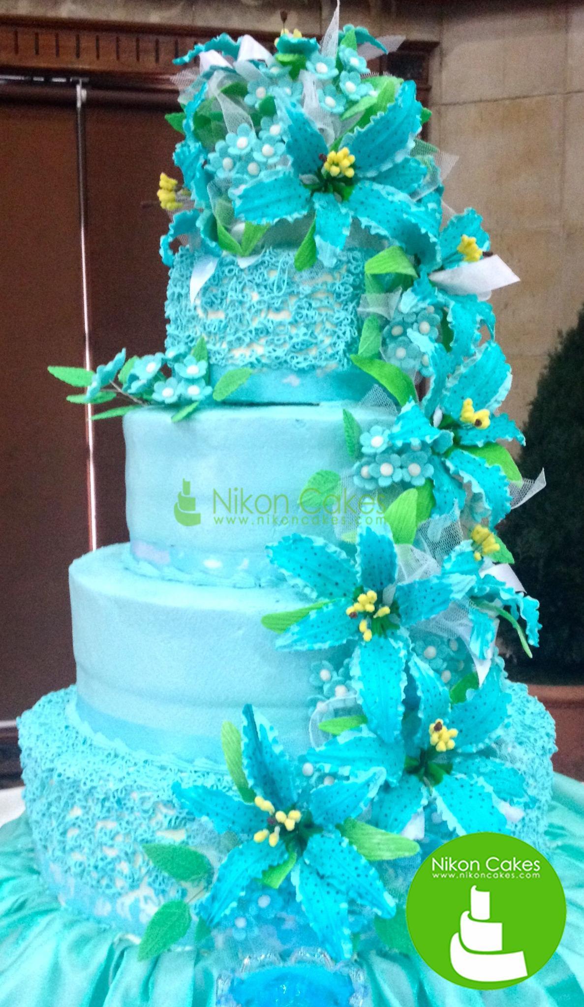 Nikon Cakes On Lovely Tiffany Blue Wedding Cake It Is