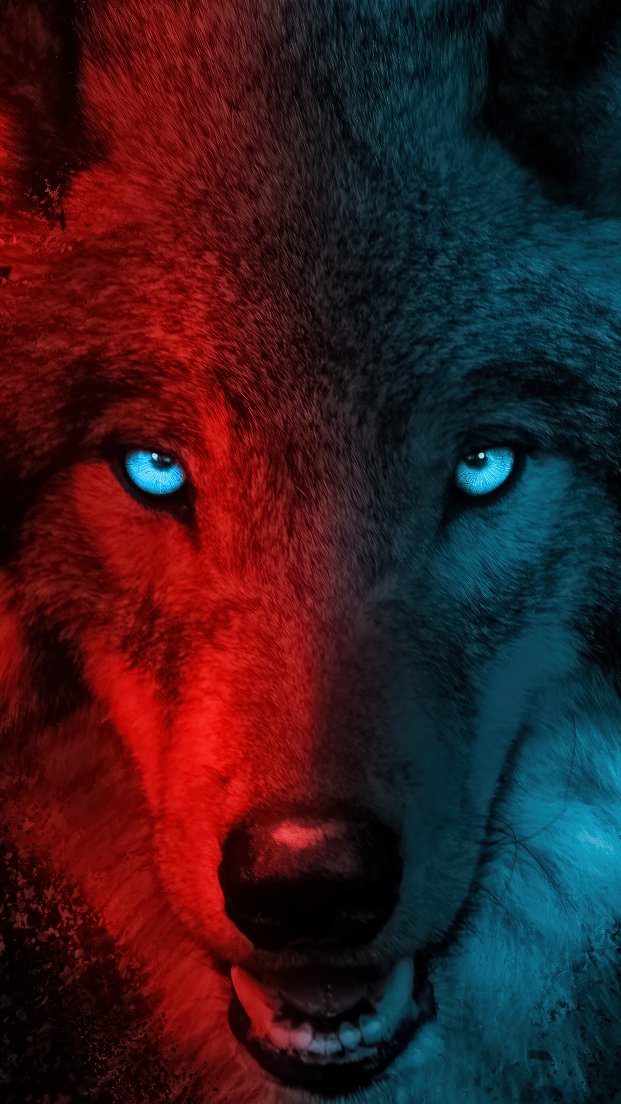 Cool Black Wolf Background Wallpaper