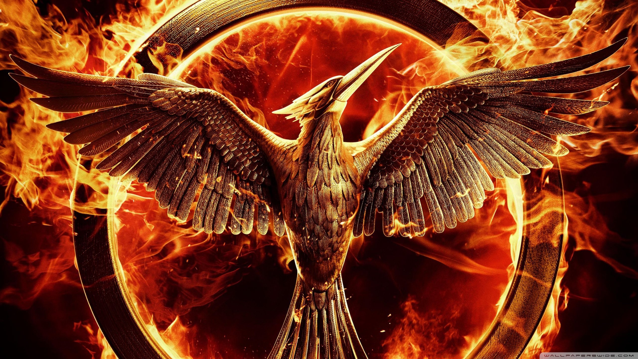 The Hunger Games Mockingjay   Part 1 Wallpapers and Background