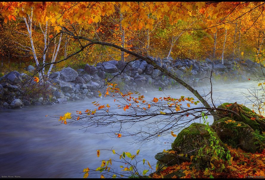 Autumn on Sebec River Maine wallpaper   ForWallpapercom