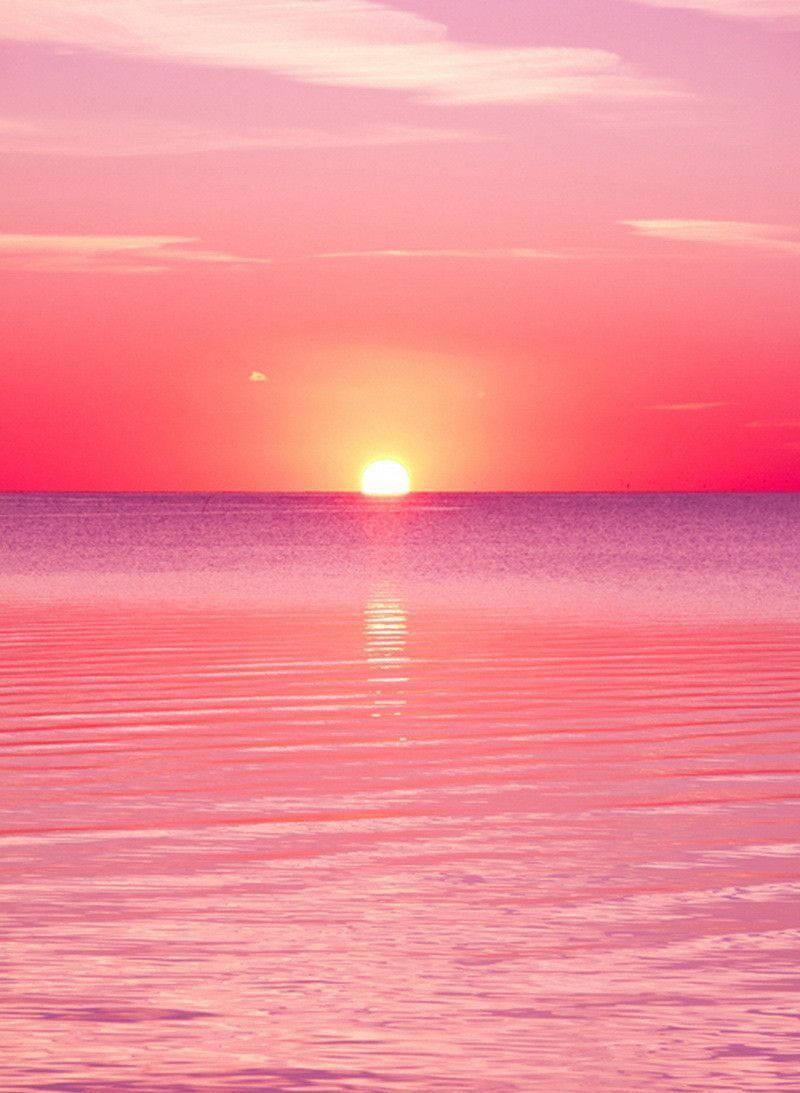  Pink Sunset Iphone Wallpapers