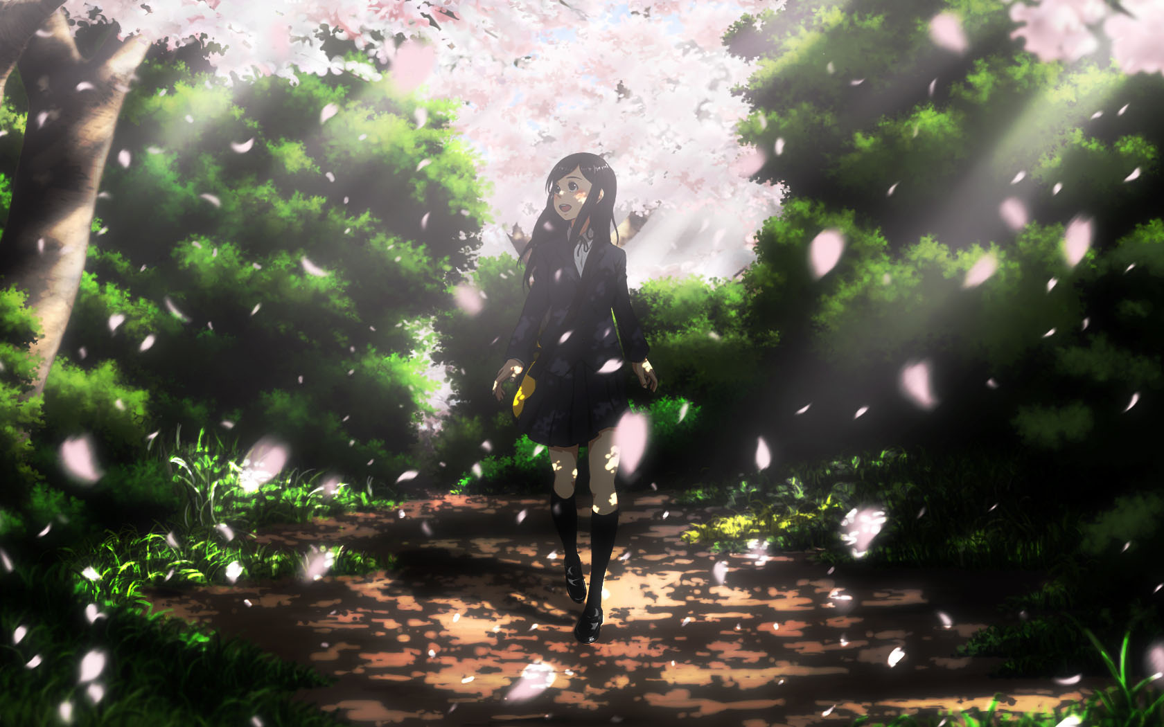 Anime Background Scenery Forest Image